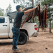 Tuff Stuff Overland 270 Degree Awning, XL, Passenger Side, C - Channel Aluminum, Olive - Beyond The Grid Overland